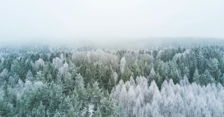 Winter Fuels Outlook