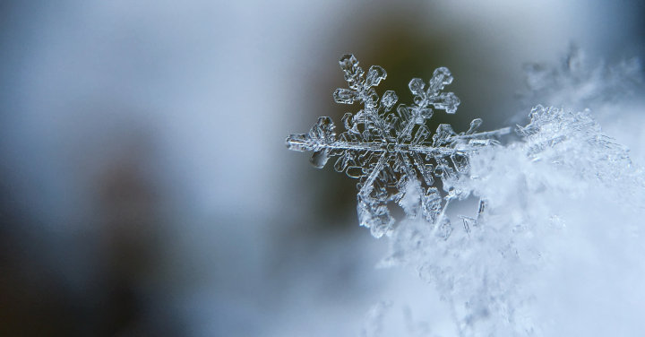 Winter Fuels Outlook
